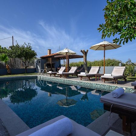 Platanias Villa Spyros מראה חיצוני תמונה